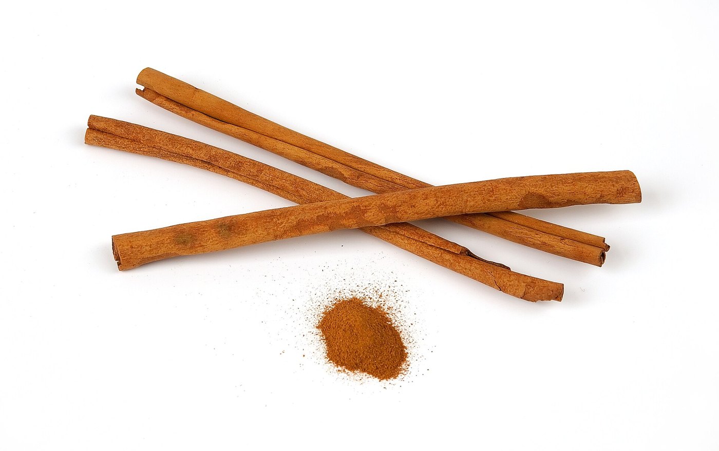 Caneleira (Cinnamomum verum) — foto real da espécie